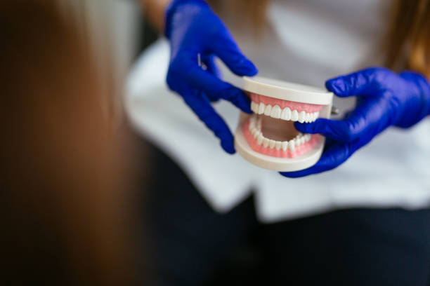 Gridley, IL Holistic Dental Care Services Company